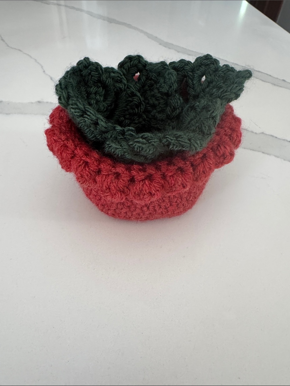 Monstera Leaf Coaster Set Handmade
